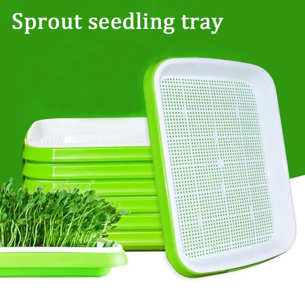 Home Germination Tray Seed Germination Tray Seedling Tray Seed Planting Soilless Cultivation Planting Pot