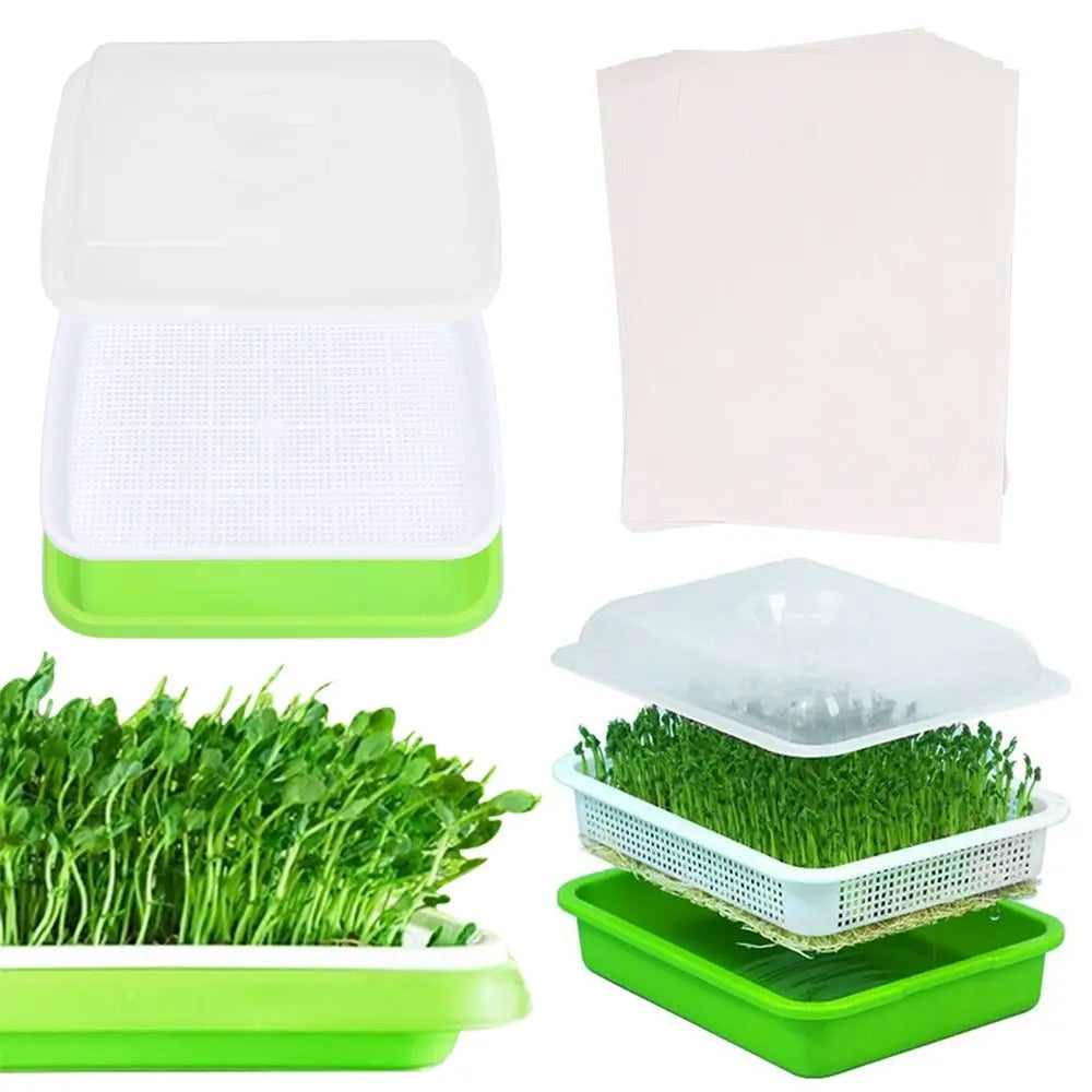 Home Germination Tray Seed Germination Tray Seedling Tray Seed Planting Soilless Cultivation Planting Pot